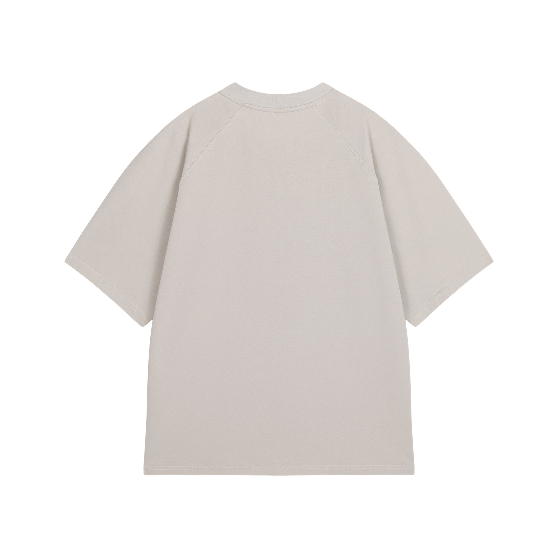 Bone Washed Boxy Reglan Mark T-shirt